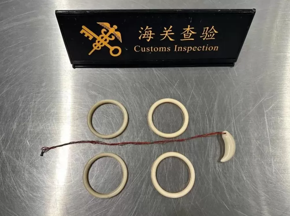 杭州海关查获现生象象牙制品75.5克-第2张图片-