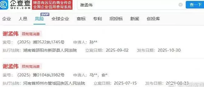 “嘎子哥”谢孟伟再次被限制高消费-第2张图片-