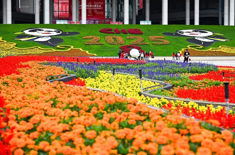 何为进博｜盛会八载，答案五彩斑斓-第4张图片-