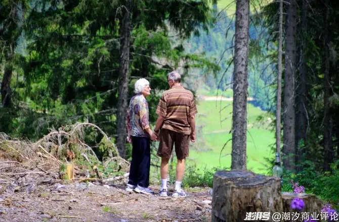 当老年人们都去“上学”了，“老”似乎也没那么焦虑-第10张图片-