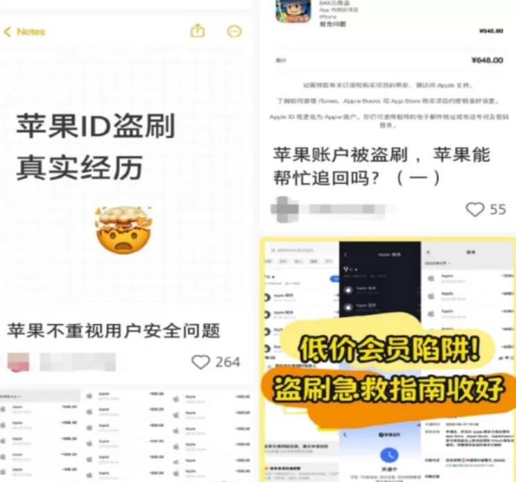 大量苹果用户中招！手机秒变别人的“提款机”，一场以“电商伪装”精心设计的骗局-第11张图片-