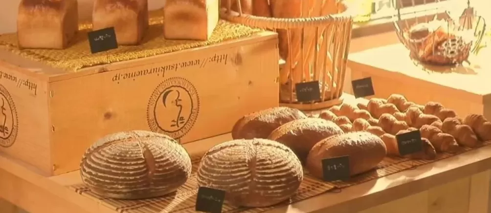 35元一个的“沪币”面包，在四线小城杀疯了-第1张图片-