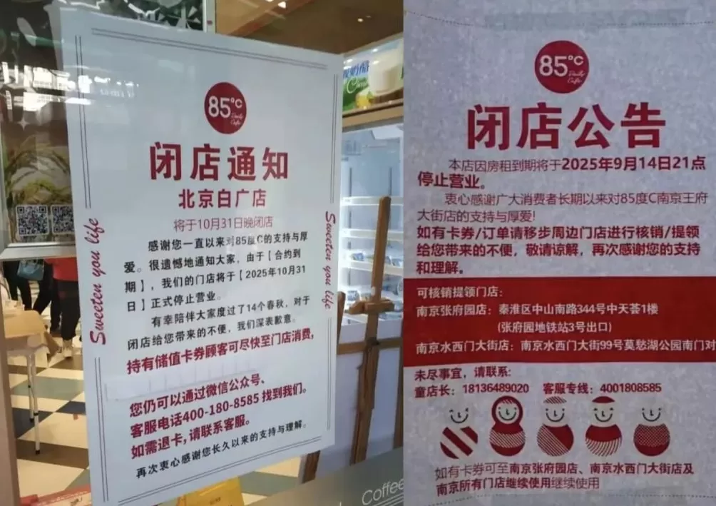 35元一个的“沪币”面包，在四线小城杀疯了-第11张图片-