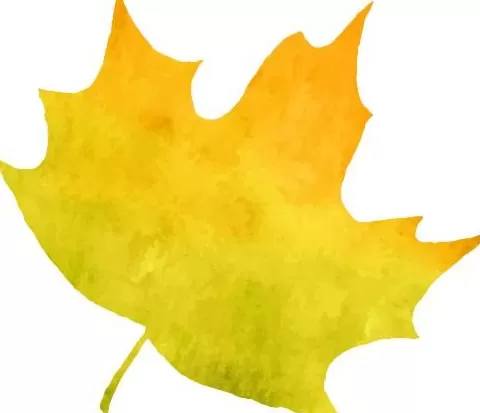 天凉就胃疼，你做错了啥？-第8张图片-
