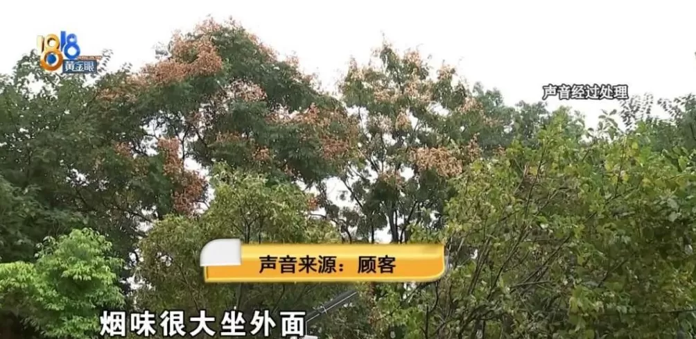 离地铁太远扣半星，有桂花香扣半星！顾客吃“霸王餐”后给差评，老板喊冤-第6张图片-