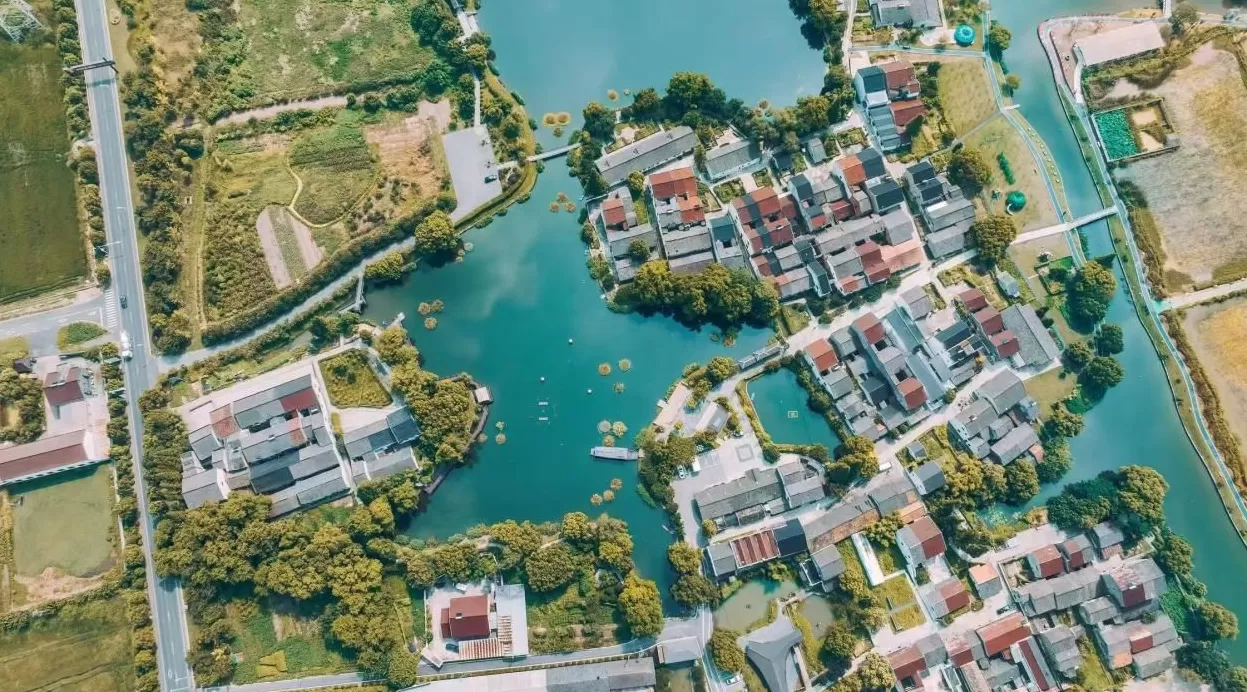 “青鸟”栖乡野——湖州青年入乡观察-第3张图片-