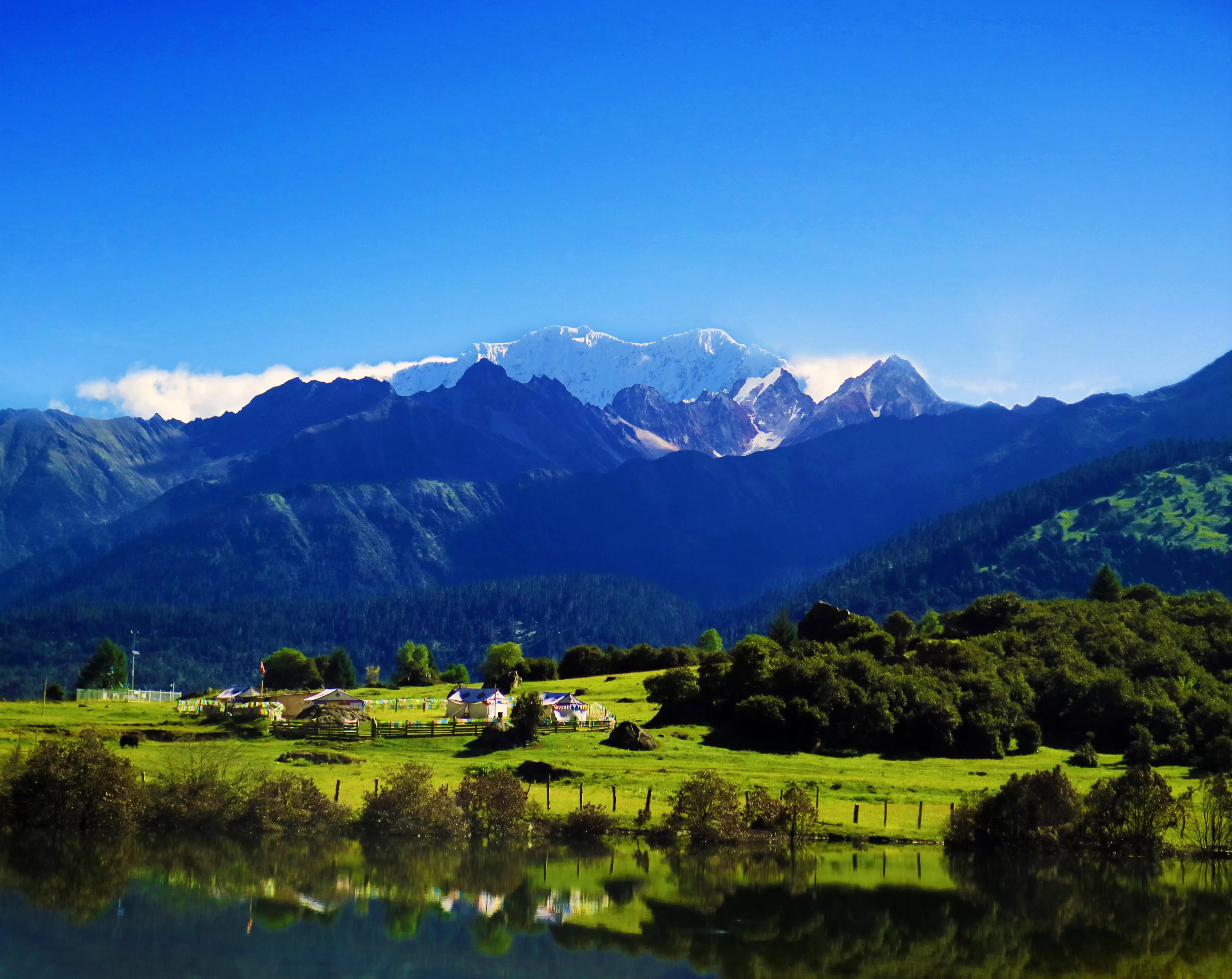 科研成为增长引擎,自然堂的双十一样本-第1张图片- 科研成为增长引擎,自然堂的双十一样本-第1张图片-