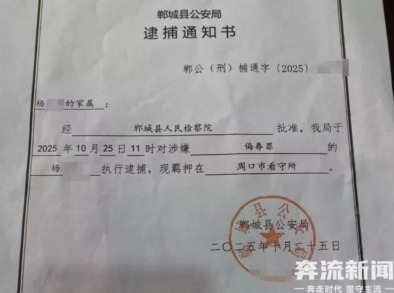 河南一女子插足他人婚姻被打，八年内原配两次被逮捕-第3张图片-