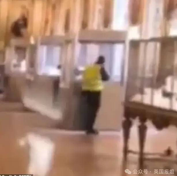 卢浮宫大劫案嫌疑人是巴黎网红！4个小毛贼整出超瞎偷国宝计划，手法荒诞法国警察破防？-第7张图片-