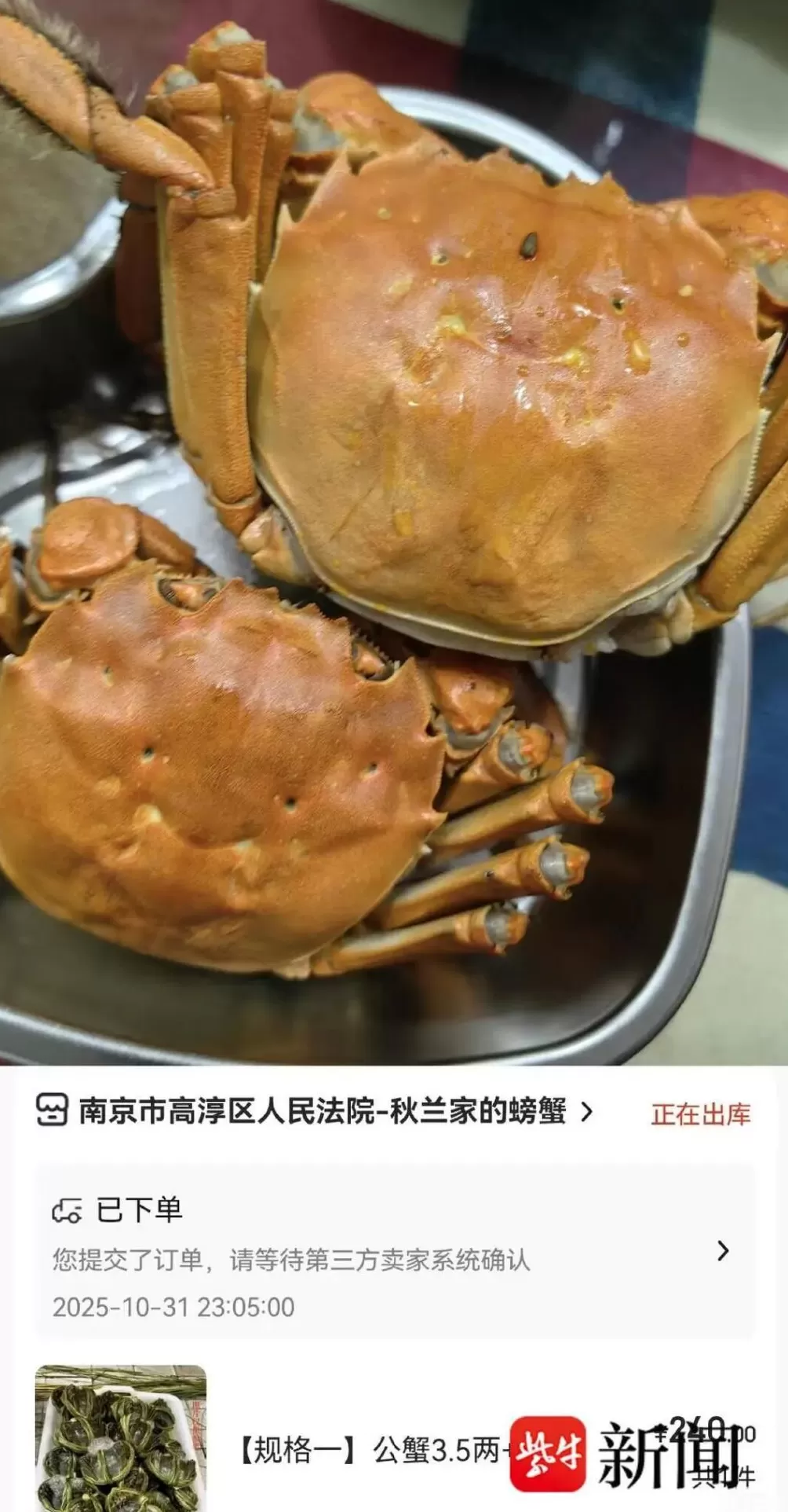 南京法院直播卖的螃蟹到货了，上海市民晒单“母蟹黄蛮多”-第1张图片-