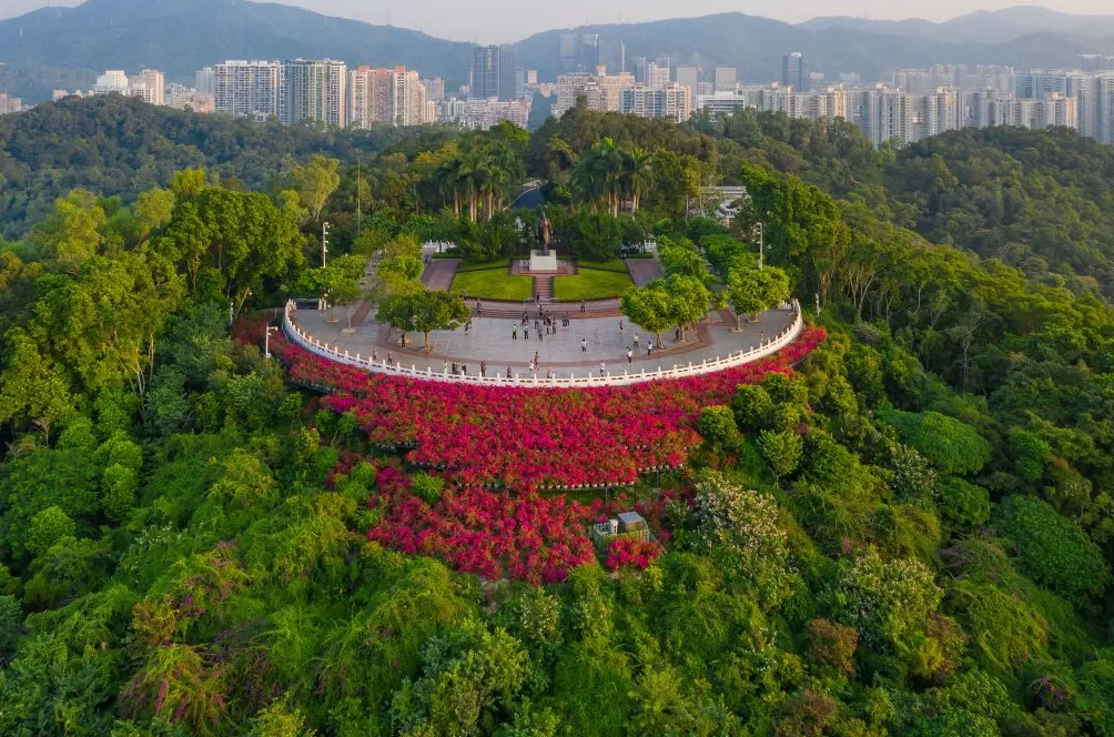 深圳，为先行者开场-第6张图片-
