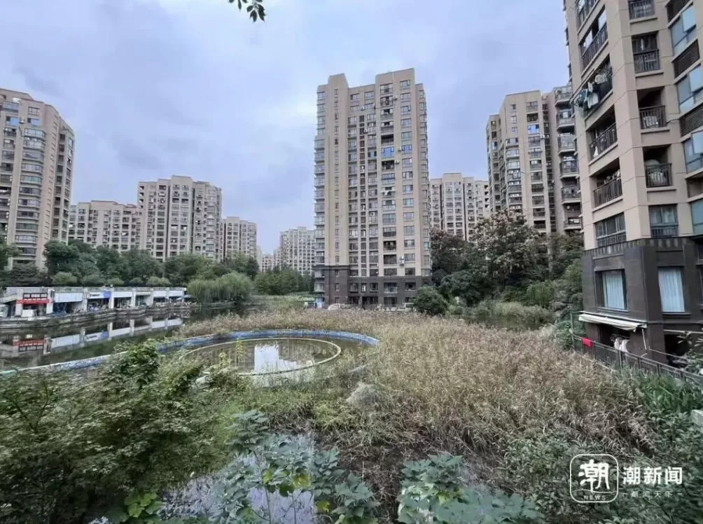 杭州一小区物业退出不干了，称业主拖欠物业费1200多万元-第1张图片-