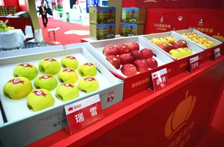 旬邑秦脆苹果亮相第十八届亚洲果蔬产业博览会暨第三届苹果产业博览会-第8张图片-