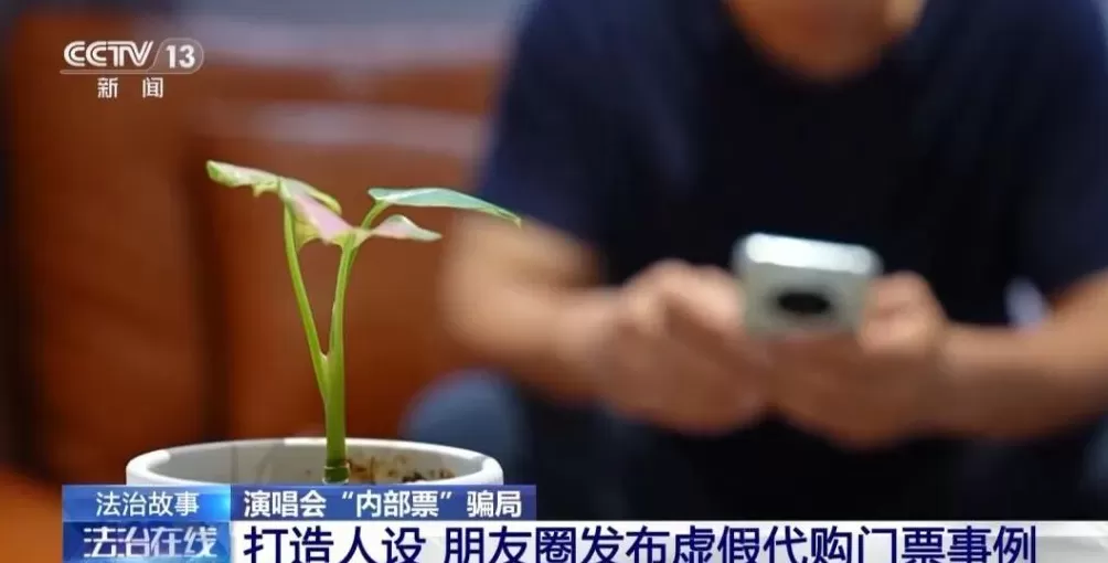 演唱会“内部票”让138万元打水漂？骗局曝光→-第4张图片-