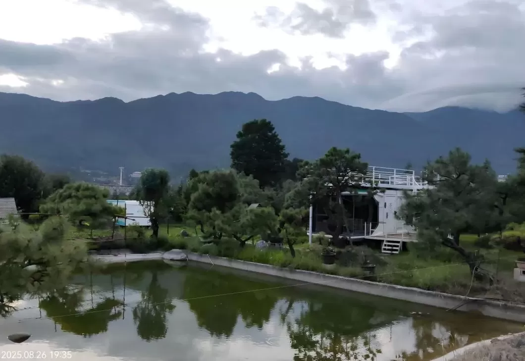 云南通报违法违规占用耕地典型：云南能投威信能源违法占基本农田被通报-第9张图片-