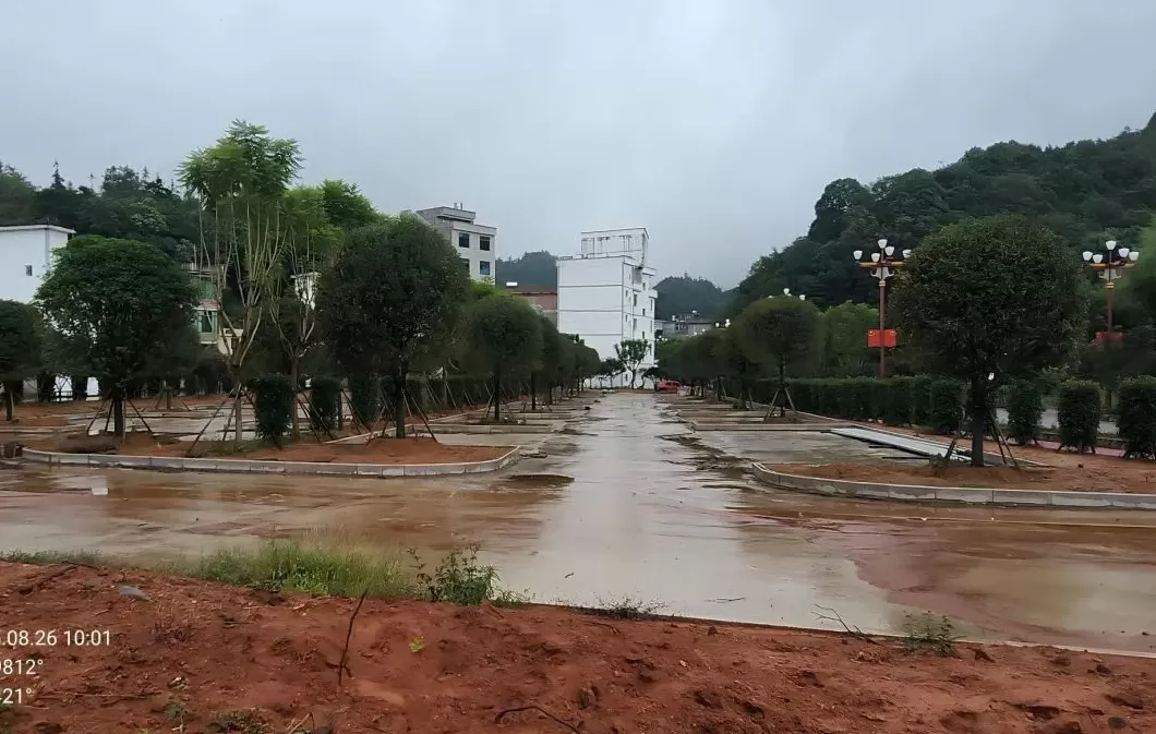 云南通报违法违规占用耕地典型：云南能投威信能源违法占基本农田被通报-第15张图片-