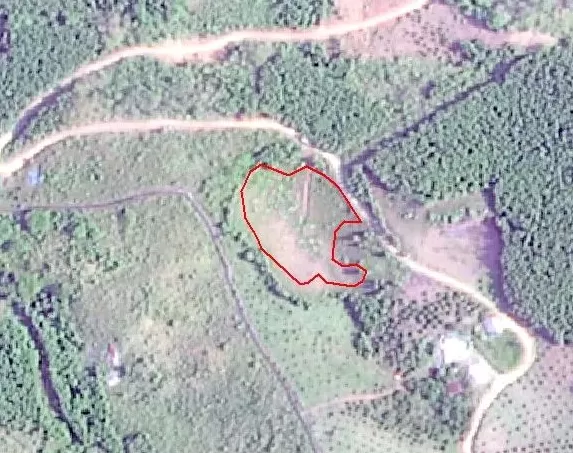 云南通报违法违规占用耕地典型：云南能投威信能源违法占基本农田被通报-第19张图片-