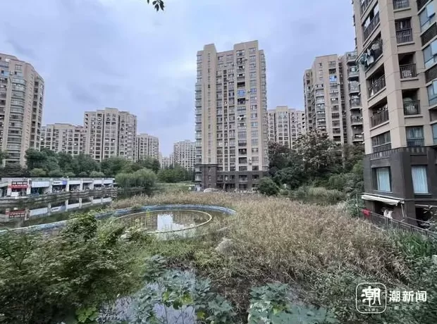 杭州一小区物业退出不干了：业主拖欠物业费1200万元-第1张图片-