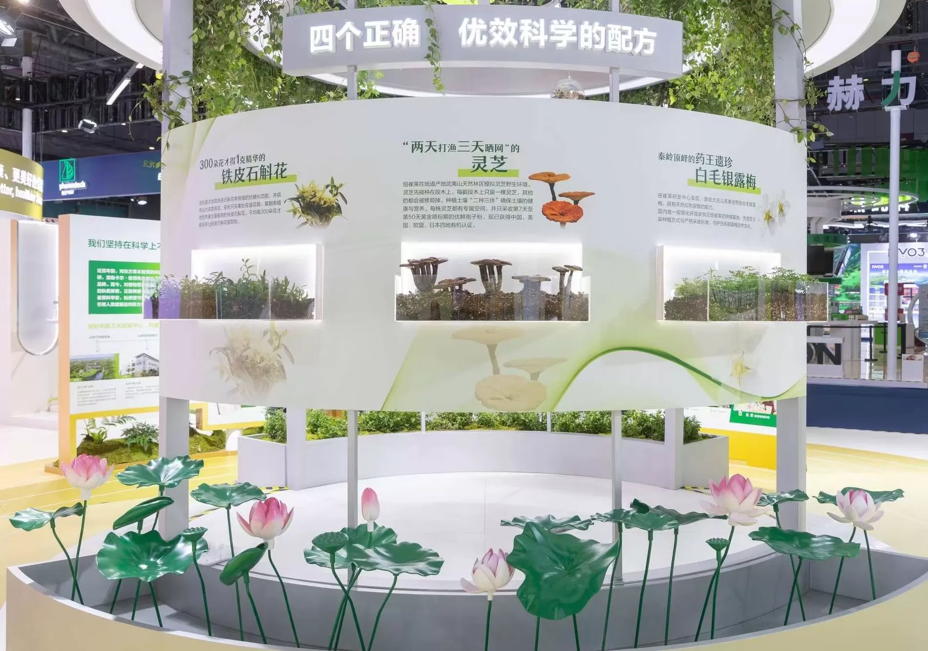 安利赴约2025 进博会：加码中国市场，领航健康未来-第2张图片-