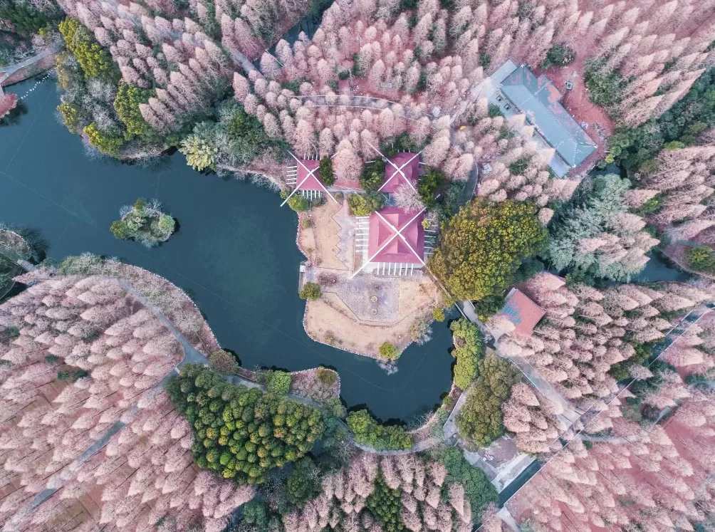 “宝藏城市”的IP之道：突围、爆红、长红-第1张图片-