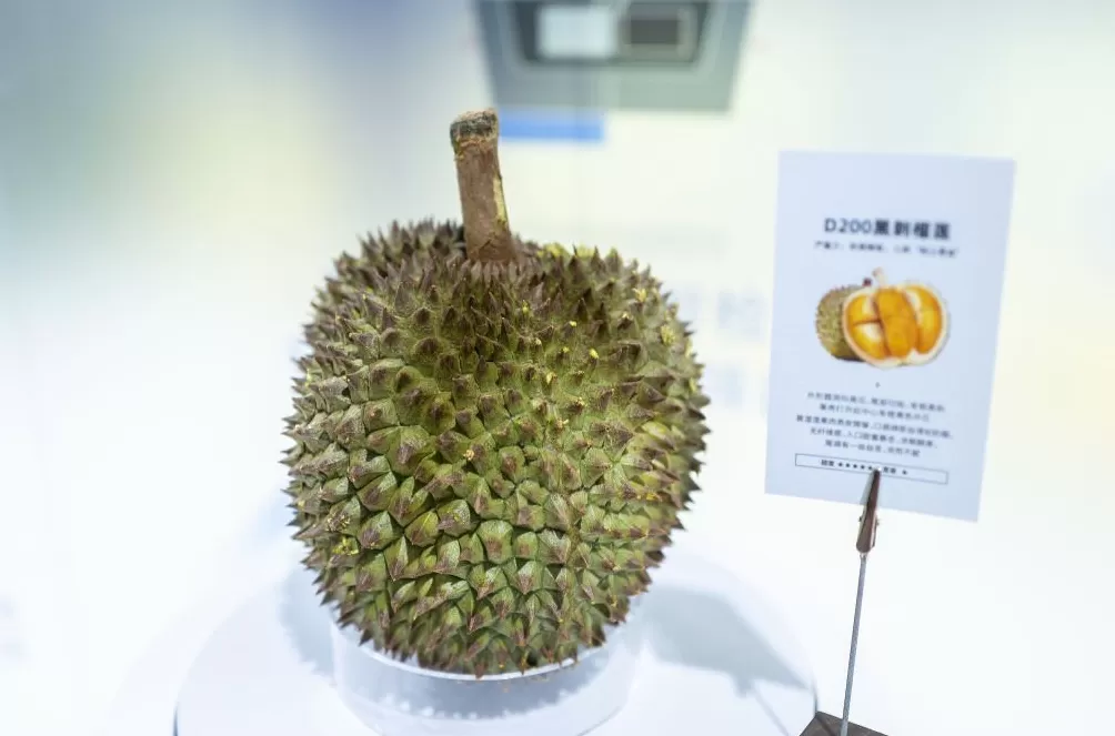进博直击｜美食博览，一场从全球农场到中国餐桌的舌尖旅行-第4张图片-