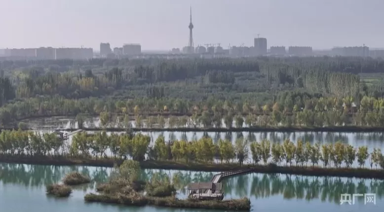 【人民城市·温情中国】边疆“绣”绿洲文“润”细无声-第2张图片-