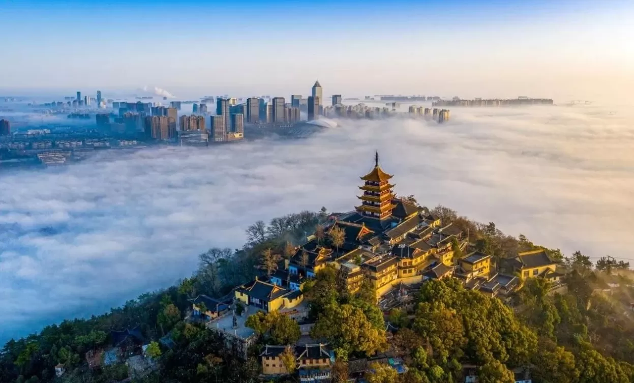 南通，为何在上海开启了这样一场“国际群聊”-第2张图片-