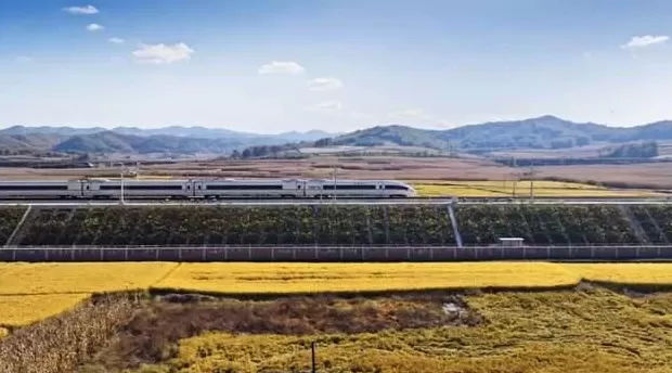 东北交通网络，有了关键进展-第2张图片-