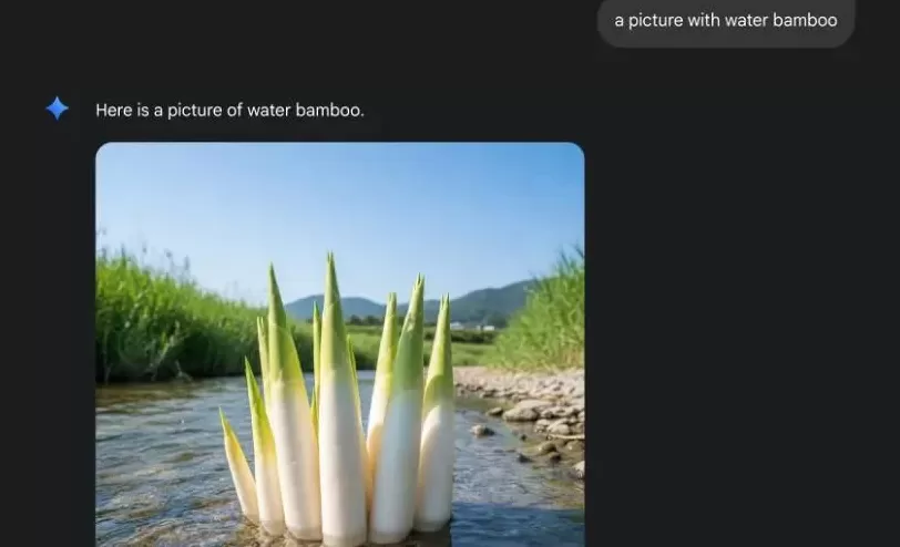 激怒山姆用户的，不止AI商品图-第4张图片-