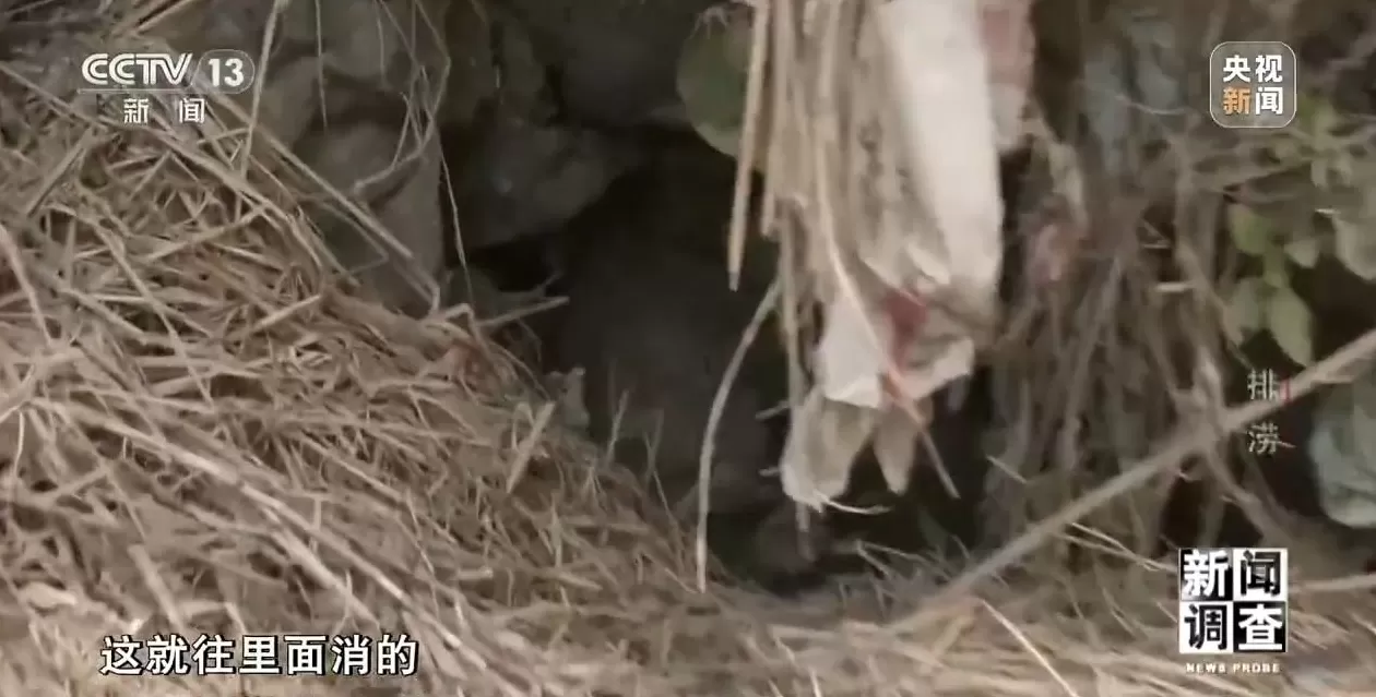 新闻调查丨广西百色排涝情况如何？记者探访受灾村屯-第7张图片-