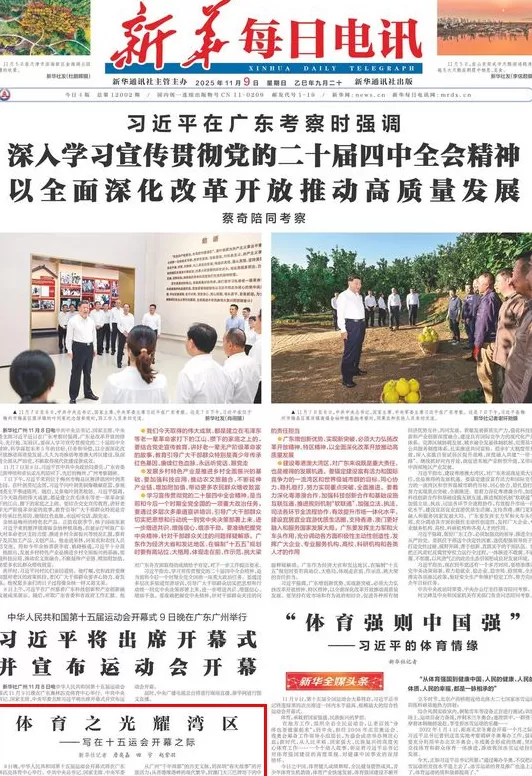 新华每日电讯：体育之光耀湾区-第1张图片-