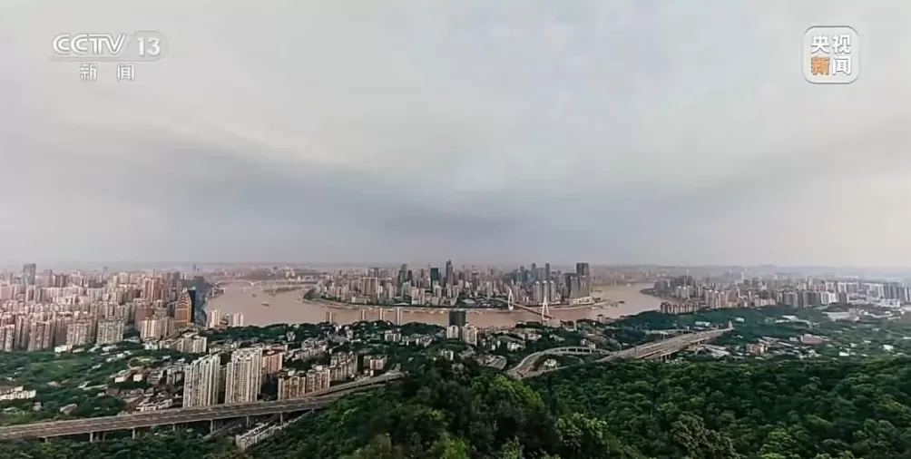 沈伯洋的“台独”绝路难逃法网-第2张图片-