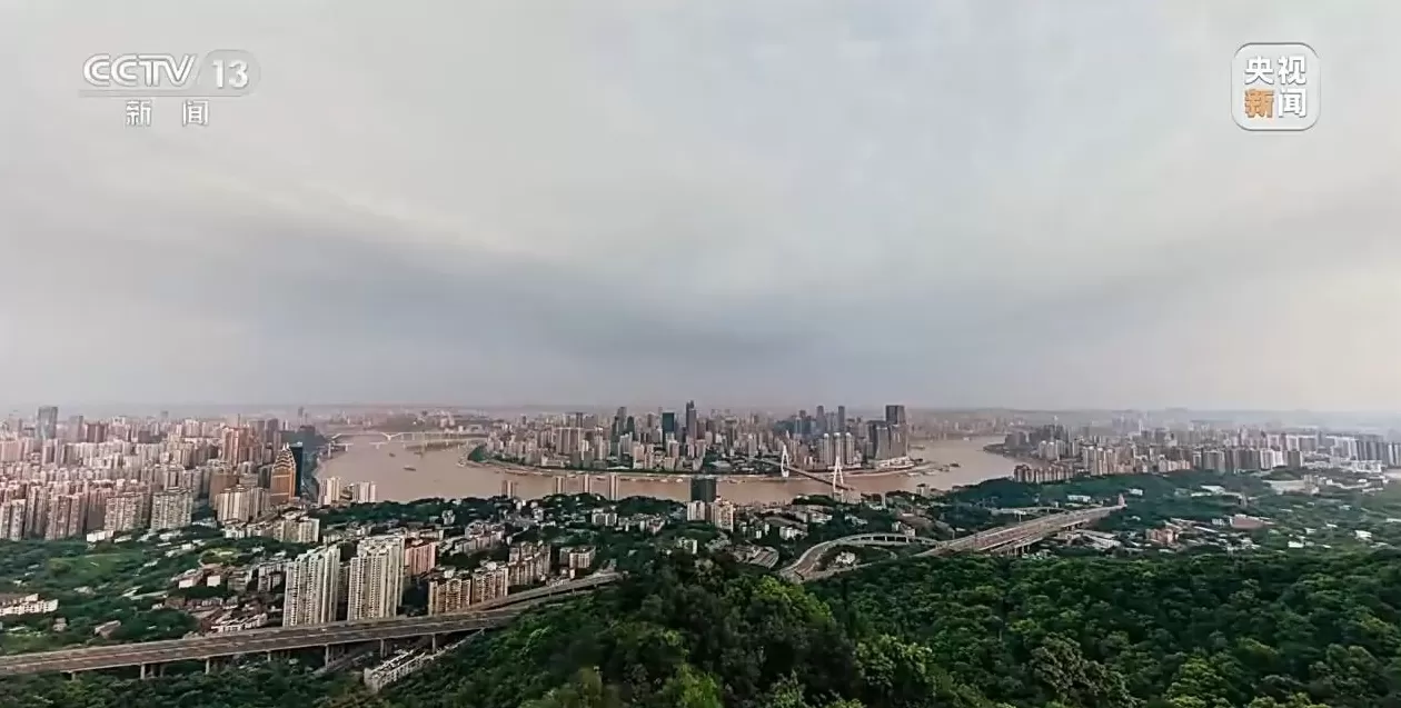 视频丨“台独”绝路难逃法网！央媒起底沈伯洋-第2张图片-