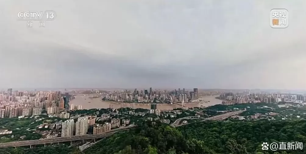 重庆警方：已收到大量关于沈伯洋的举报线索-第3张图片-