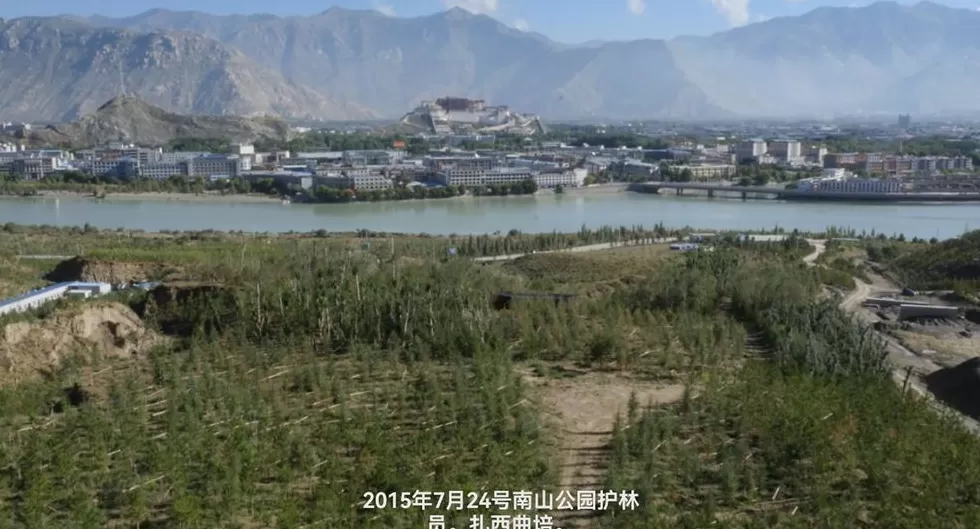 在生态脆弱的高原栽植苗木1.2亿株，西藏做对了什么？-第6张图片-