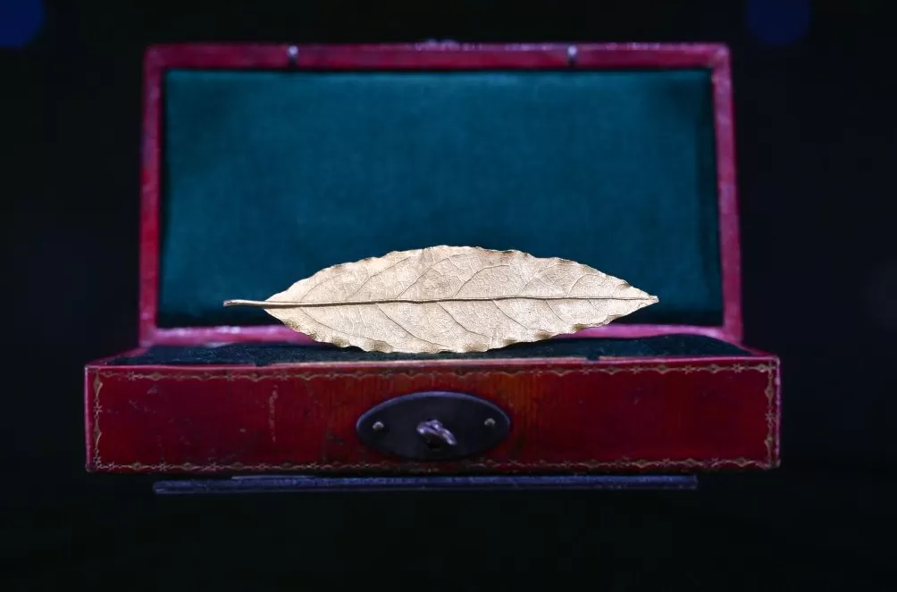 进博直击｜做做运动逛逛街，消费品展区商品琳琅满目又新又酷-第7张图片-
