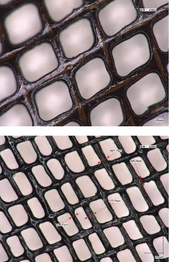 海昏侯墓首次发现秦汉时期全本《诗经》-第3张图片-