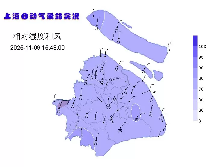 下周上海最高19℃，郊区最低气温或跌至个位数-第3张图片-