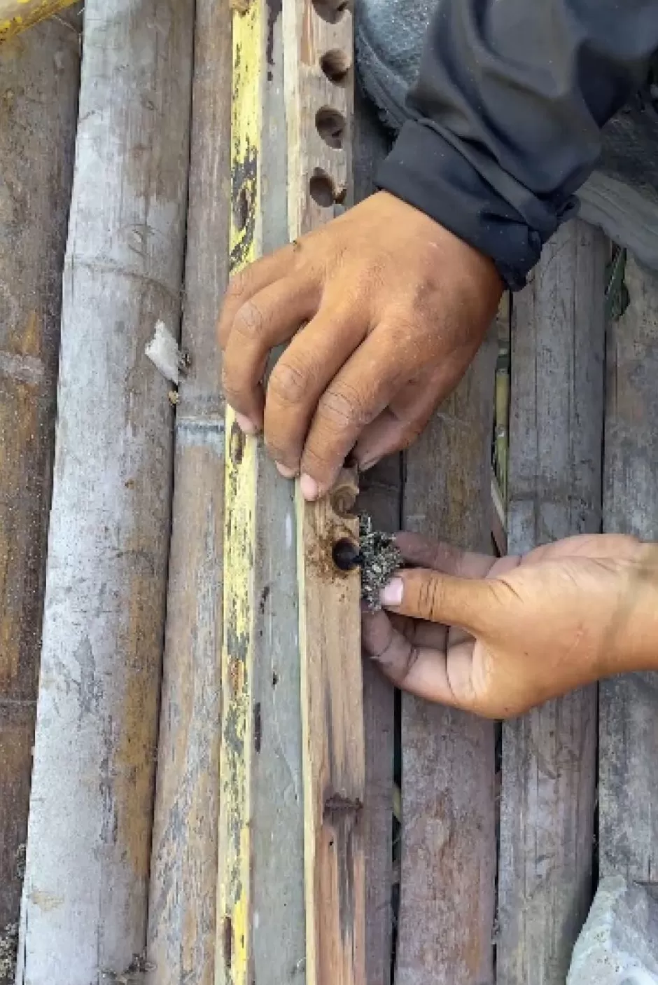 35天减28斤！25岁女孩获海岛求生赛季军：将报名张家界荒野求生赛-第2张图片-