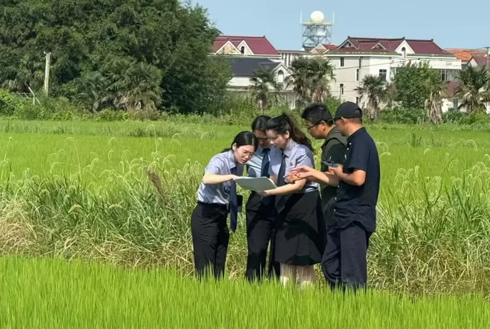 “既要懂法、更要懂群众”，一支检察队伍的公益诉讼之路-第1张图片-