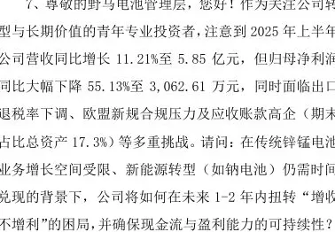 财说丨增收不增利困局难解,野马电池75倍市盈率下的贴牌之殇-第4张图片- 财说丨增收不增利困局难解,野马电池75倍市盈率下的贴牌之殇-第4张图片-