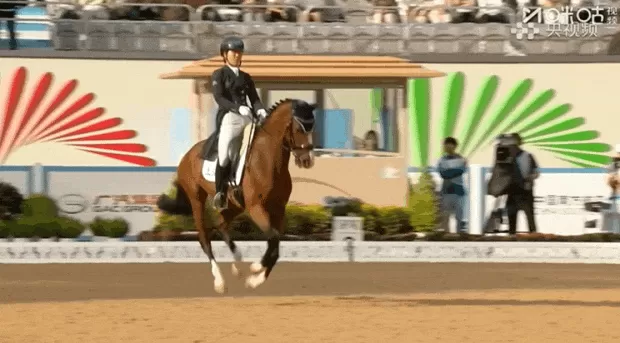 上海队斩获十五运会马术盛装舞步团体金牌-第2张图片-