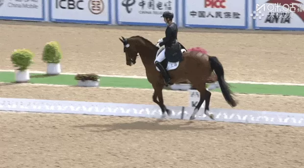 上海队斩获十五运会马术盛装舞步团体金牌-第5张图片-