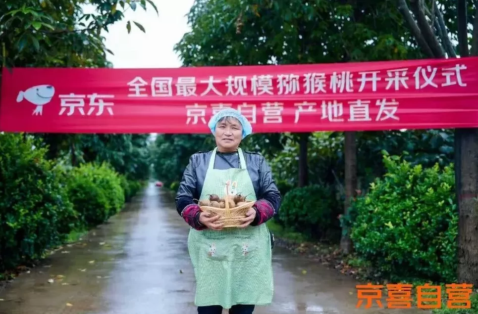 刘强东做低价的两年，京喜已经开始反哺京东-第2张图片-