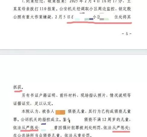 河南一有强奸前科老人猥亵幼女获刑二年，受害者家属申请抗诉-第3张图片-