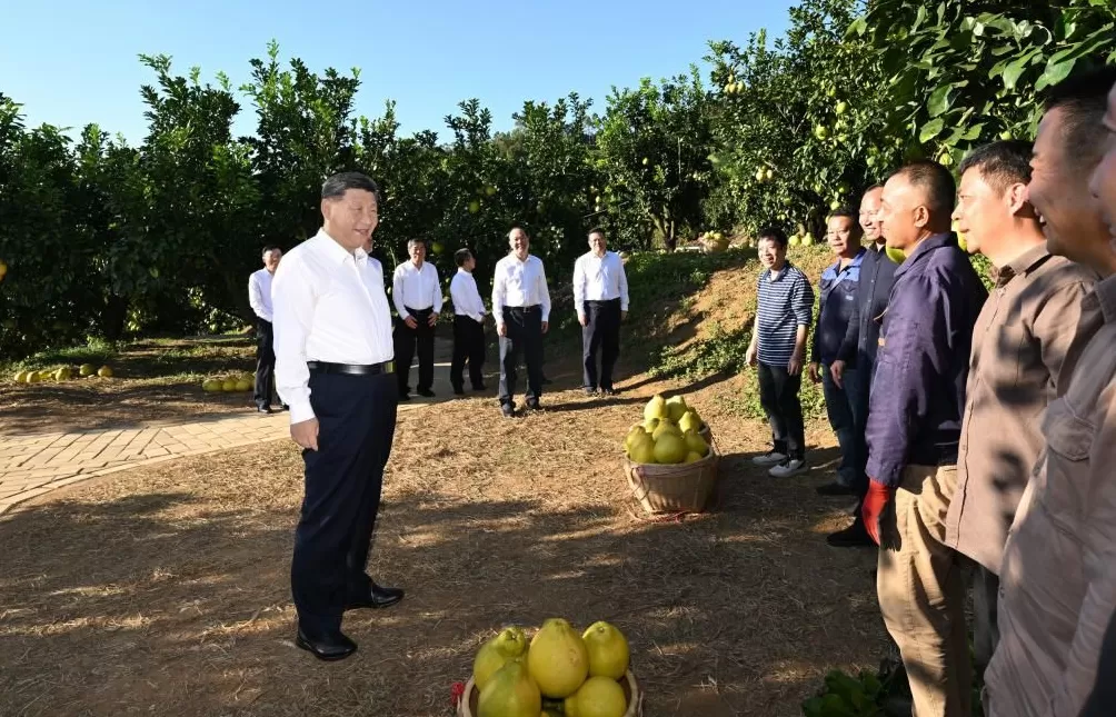 改革潮涌处开放海天阔——习近平总书记赴海南、广东考察并出席第十五届全运会开幕式纪实-第6张图片-