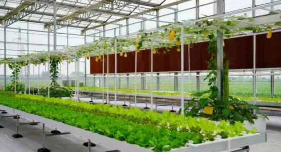 【理响中国·一线探新】探寻诗意嘉鱼的绿色富民密码-第2张图片-