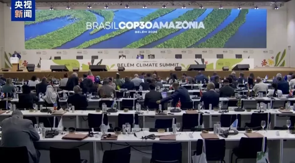 雨林深处一场会，显示出了差异与分化-第1张图片-