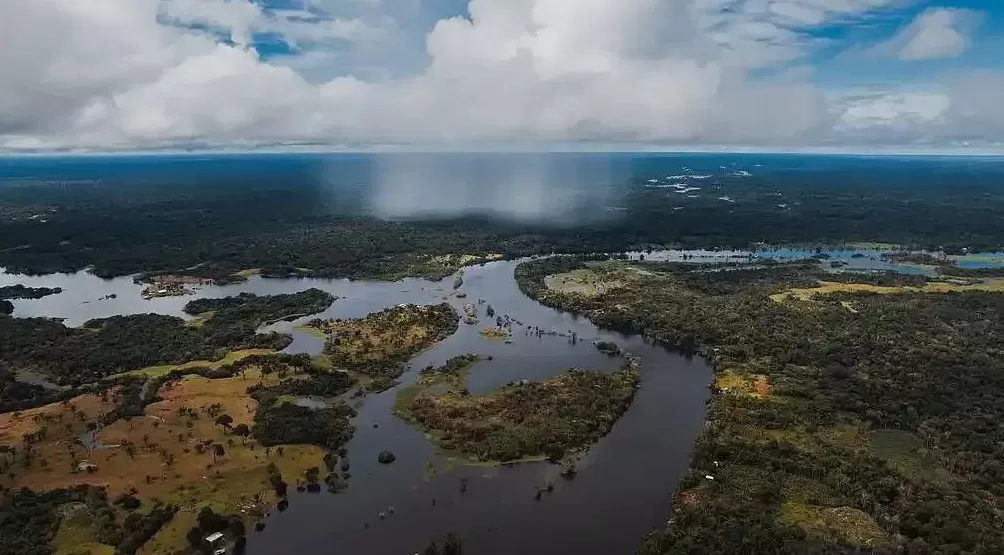 雨林深处一场会，显示出了差异与分化-第2张图片-