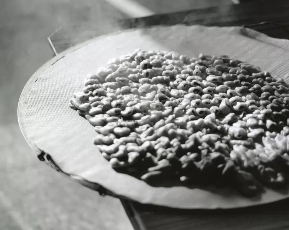 评2025丽水摄影节：在纷乱的图像年代寻找证明自身的价值-第9张图片-